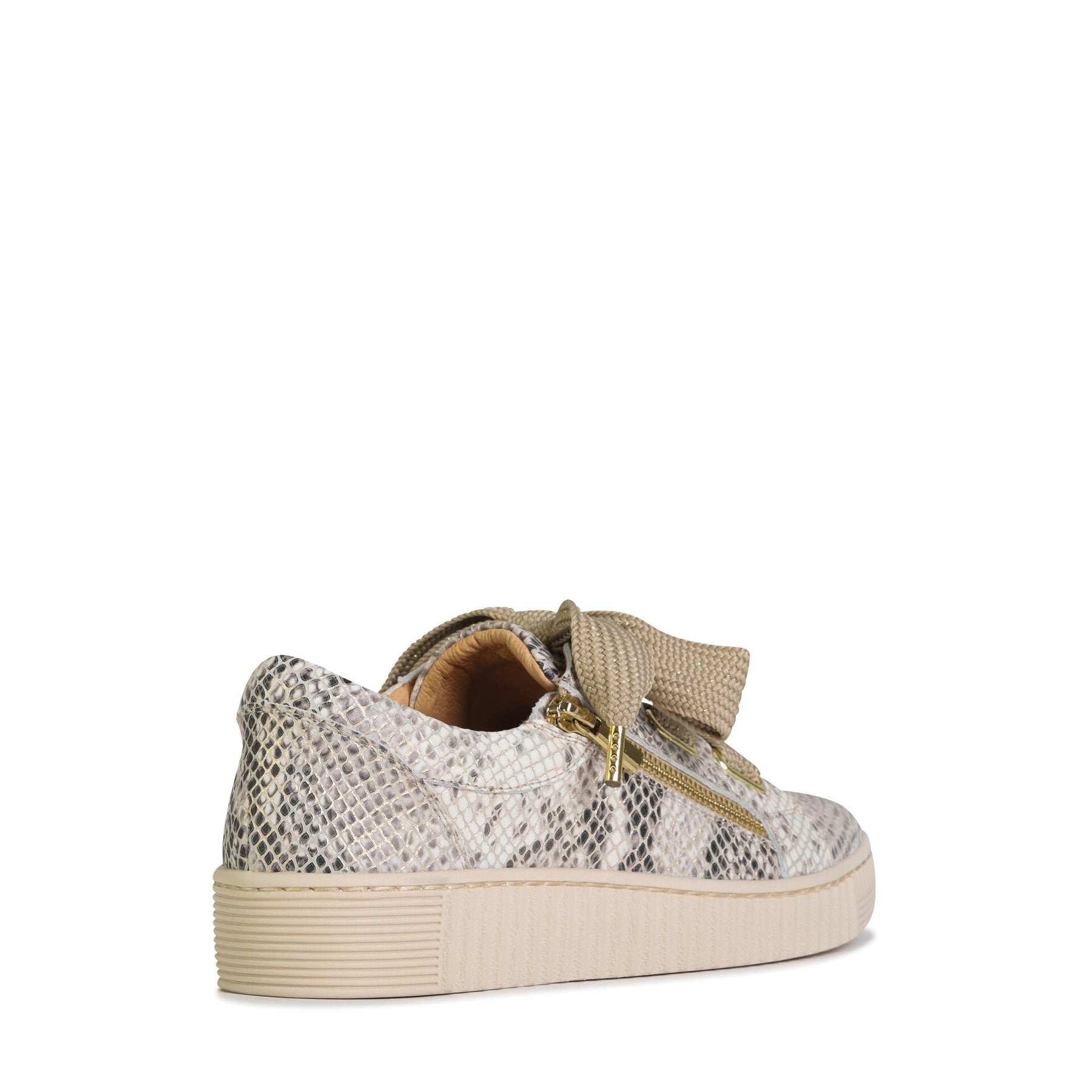 #color_champagne-snake