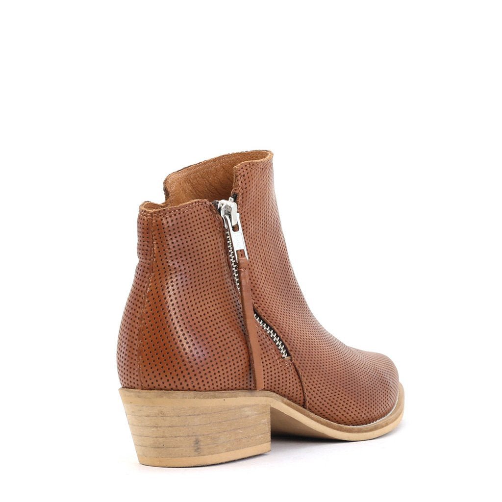 TOGGY - EOS Footwear - Ankle Boots